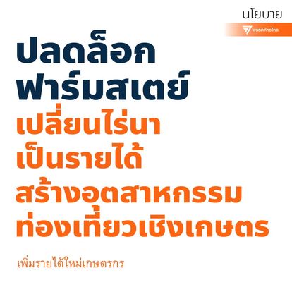 นโยบาย 300